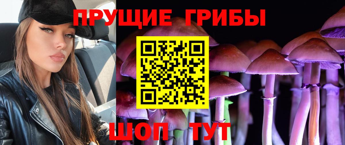 Галлюциногенные грибы Magic Shrooms Абинск